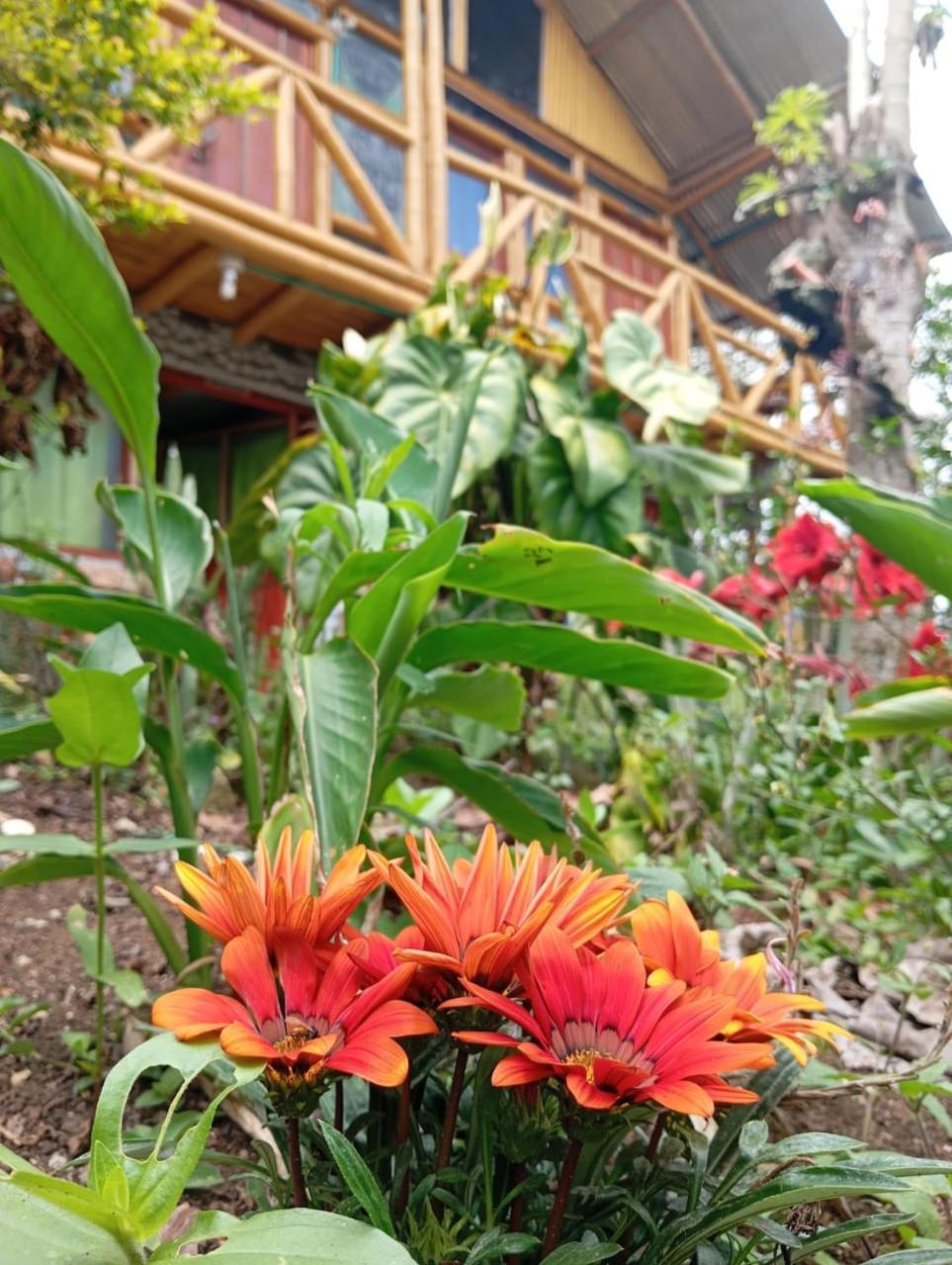 Eco Hotel Manu Viajeros San Agustín Εξωτερικό φωτογραφία